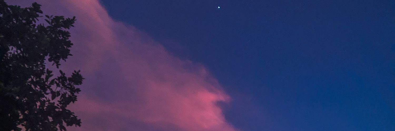 Pedro banner