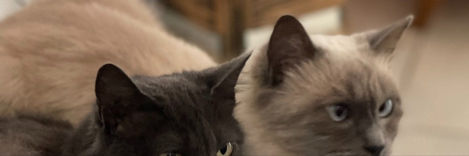 kailanycs's profile banner image