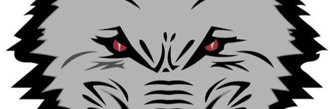 Nottingham Wolves banner