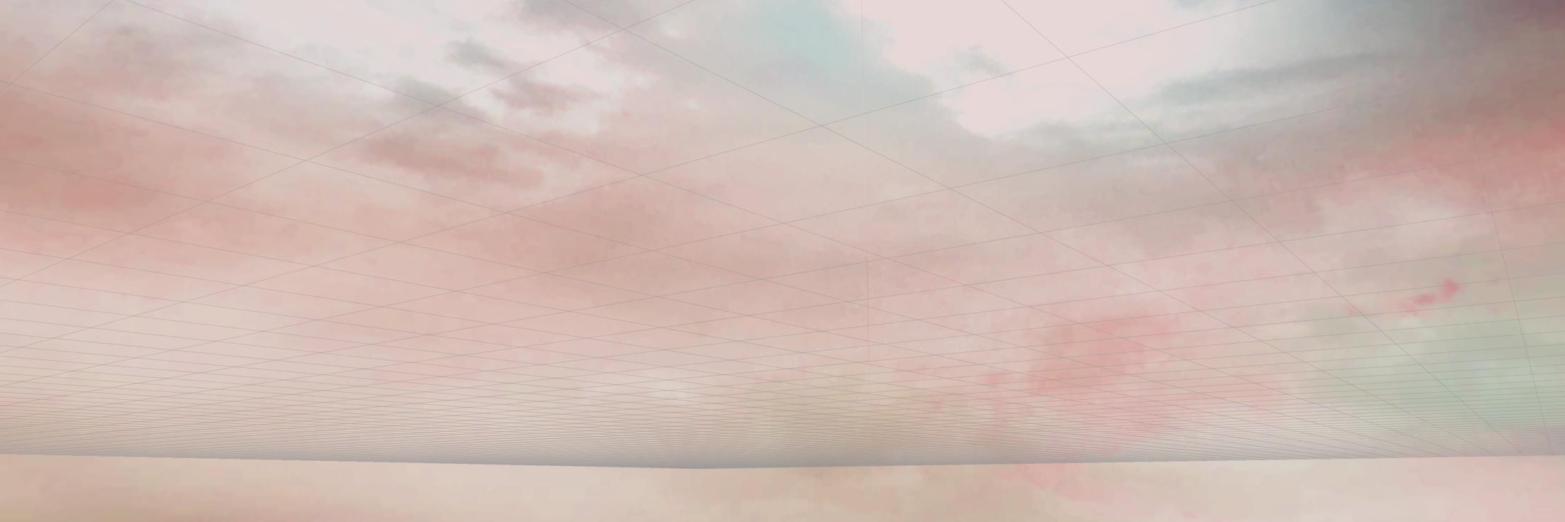 accidental beauty banner