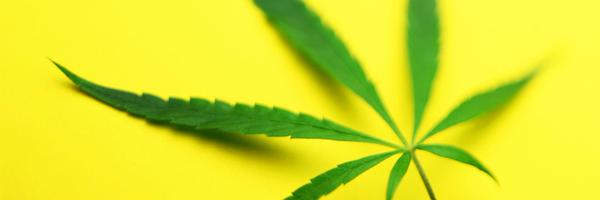 AnalRectum Profile Banner