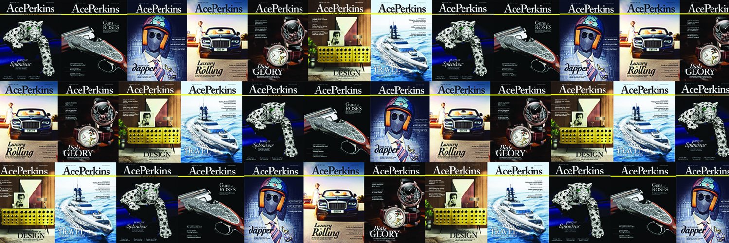 aceperkinsmag's profile banner image