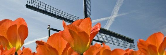 Kees Vermeer banner