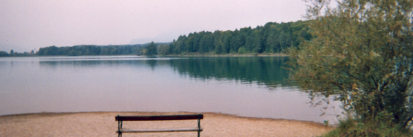 Toh Profile Banner