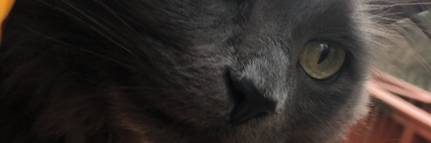 john_scurti's profile banner image