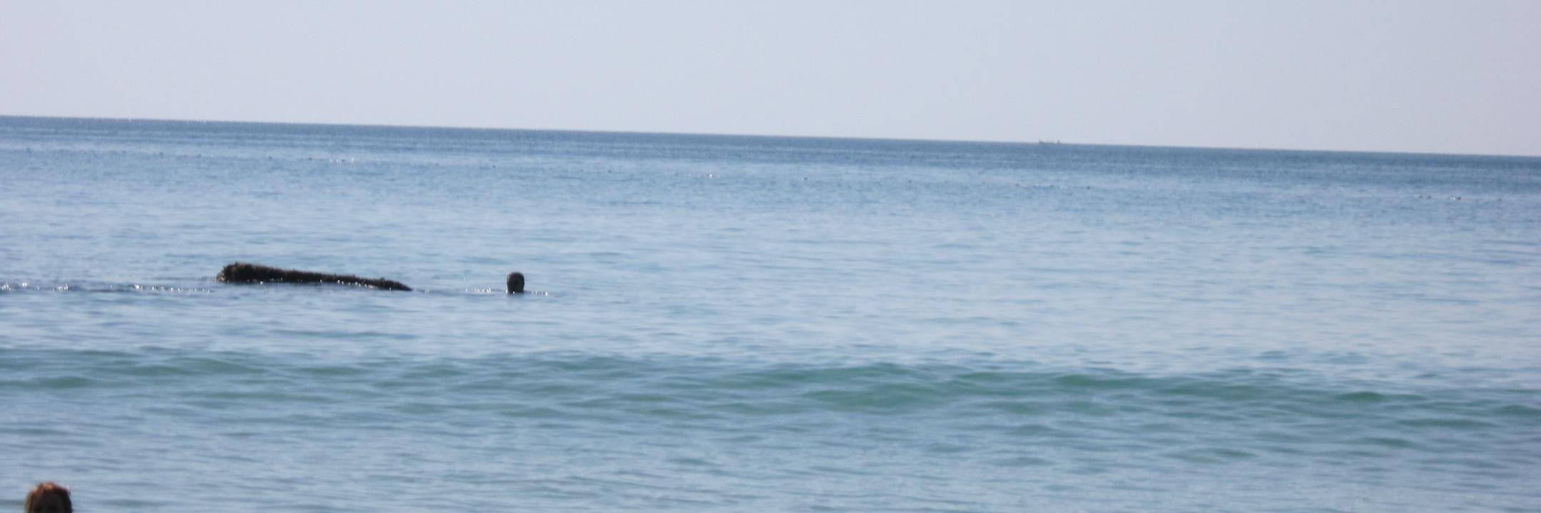 Алексей Попенков banner