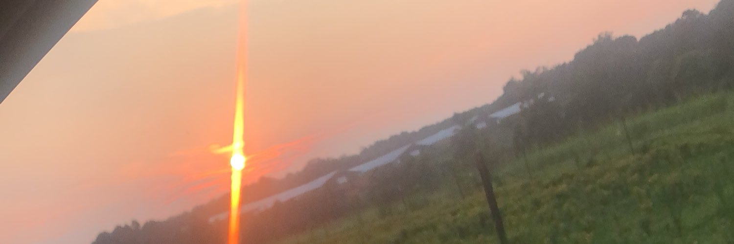 allieb317's profile banner image