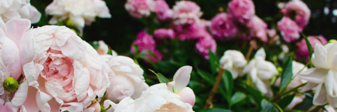 kegaither's profile banner image