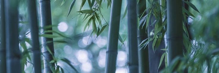 julanstyz's profile banner image