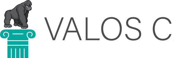 valoscapital's profile banner image