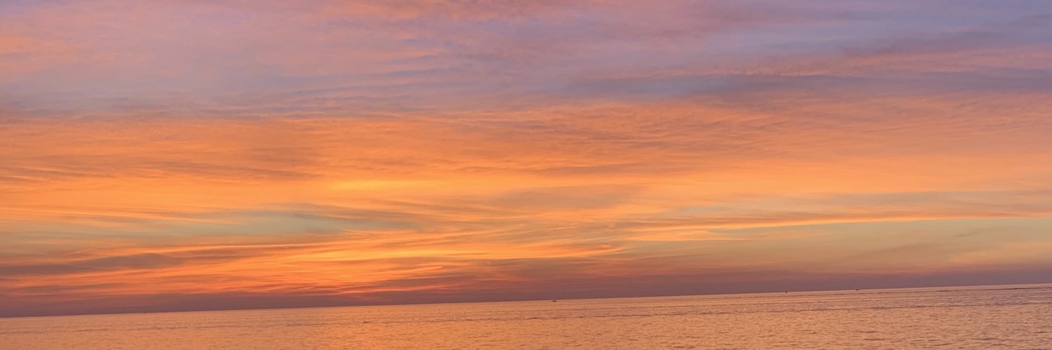 theonlyhayster's profile banner image