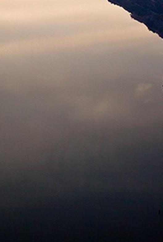 ndesenef's profile banner image