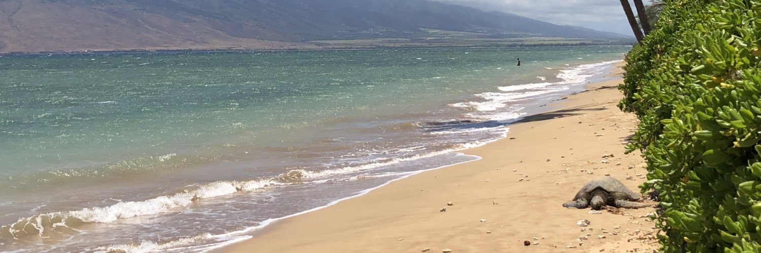 rhondahsloan's profile banner image
