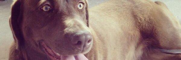 agustinacesa's profile banner image