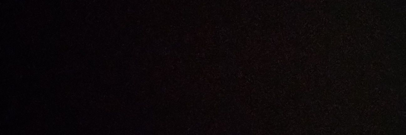capibrandt's profile banner image