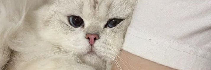 Hello_Balim's profile banner image