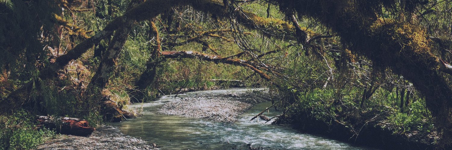kyeehamilton's profile banner image