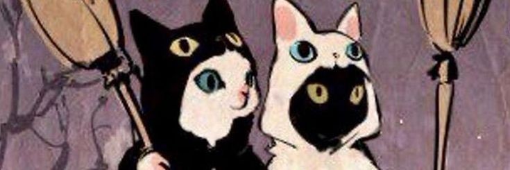 b1nny19's profile banner image