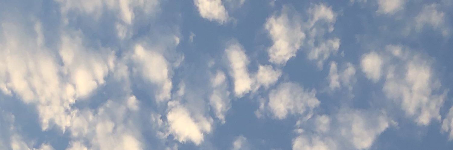 ivanpal07's profile banner image
