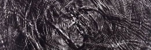 vinsalgre's profile banner image