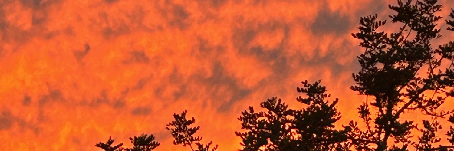 mopob817's profile banner image