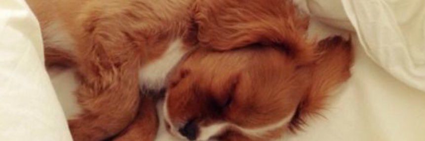 DavironJ's profile banner image