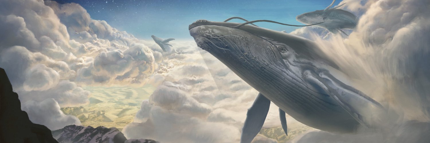 maxz00r's profile banner image
