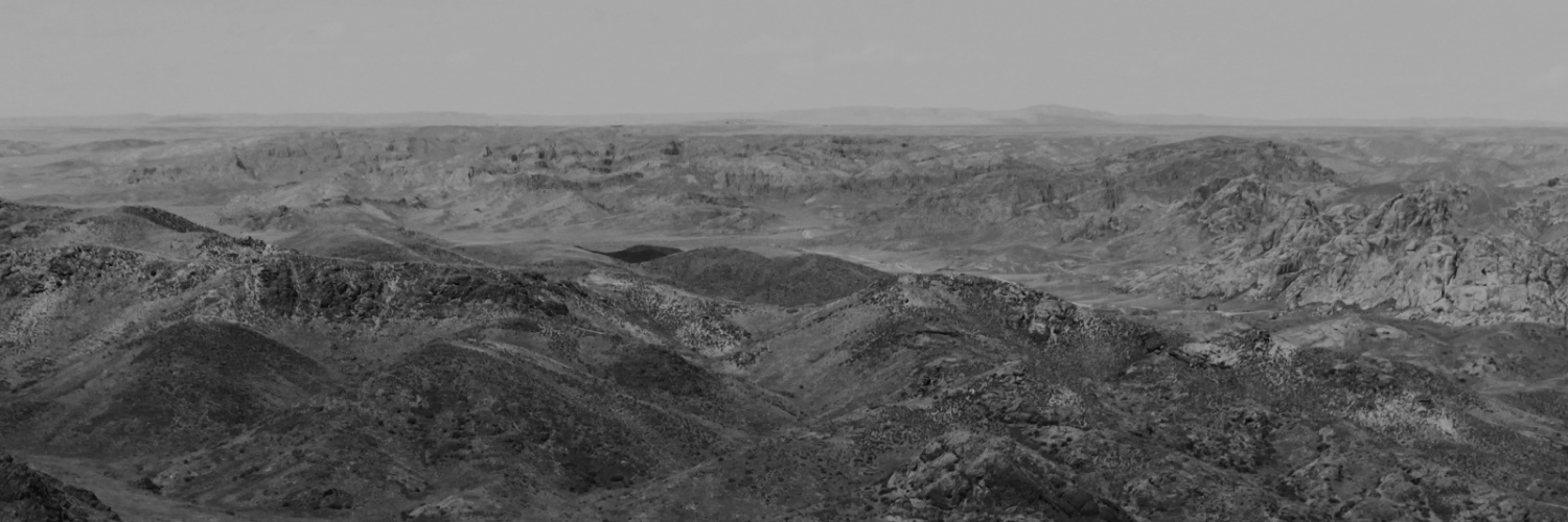 Darya Jumelya banner