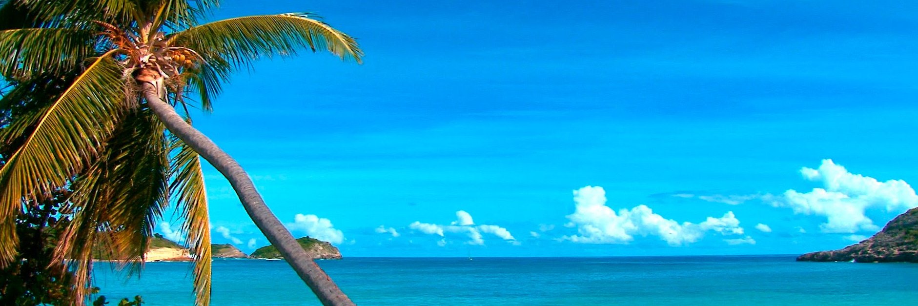 IdirisAbdi's profile banner image