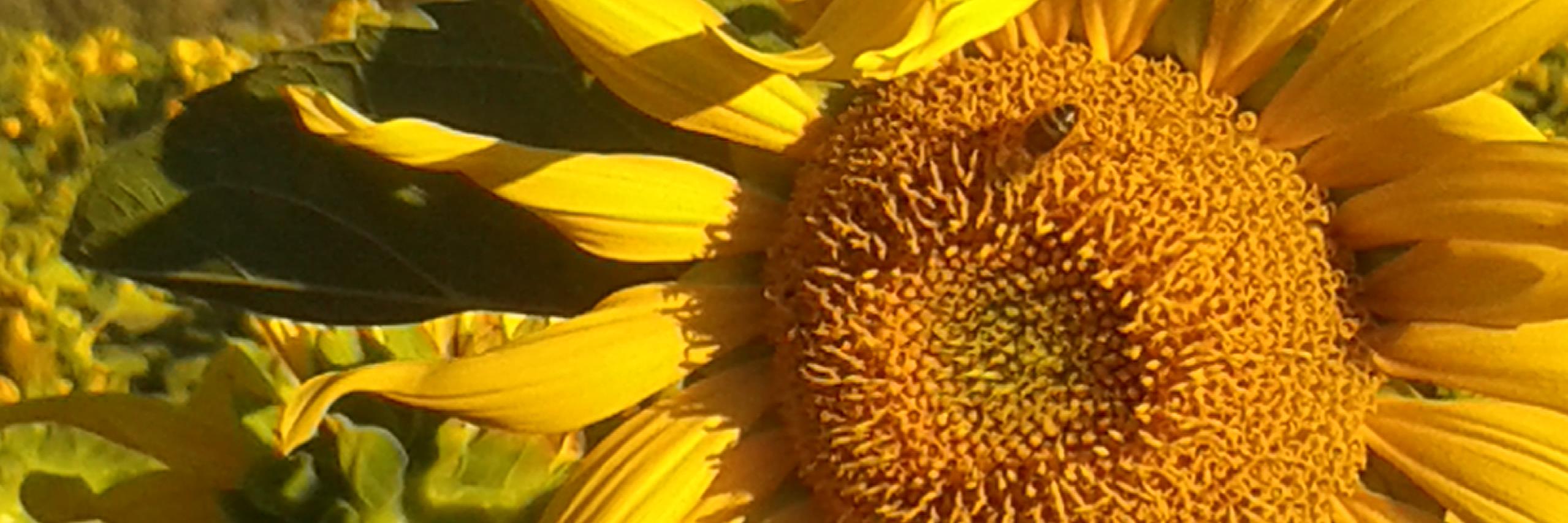 AndrewDean20's profile banner image
