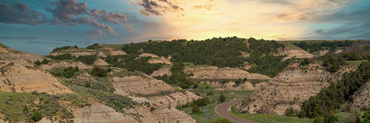 NDHIMACSA's profile banner image