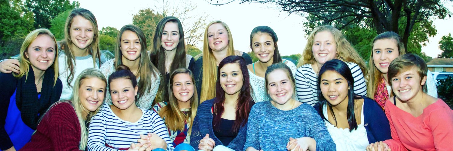 mhstigersvb's profile banner image