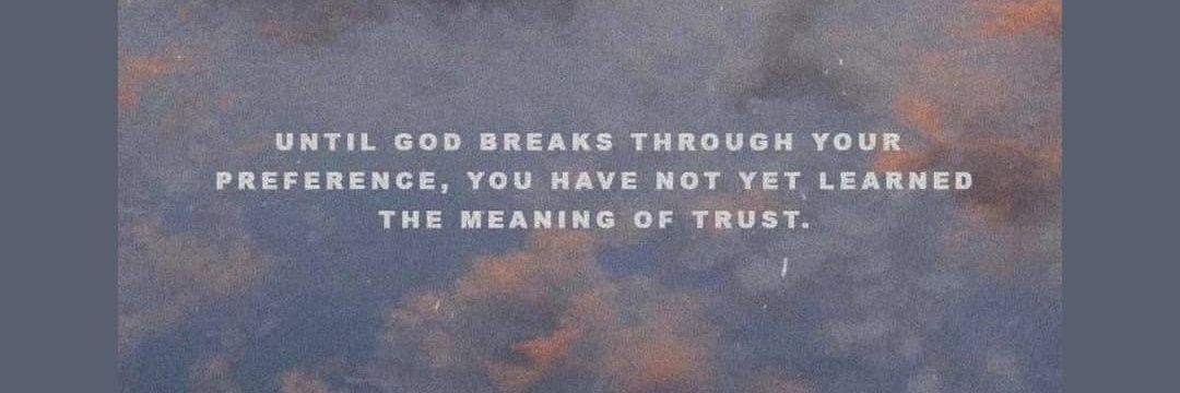 yetiaviles's profile banner image