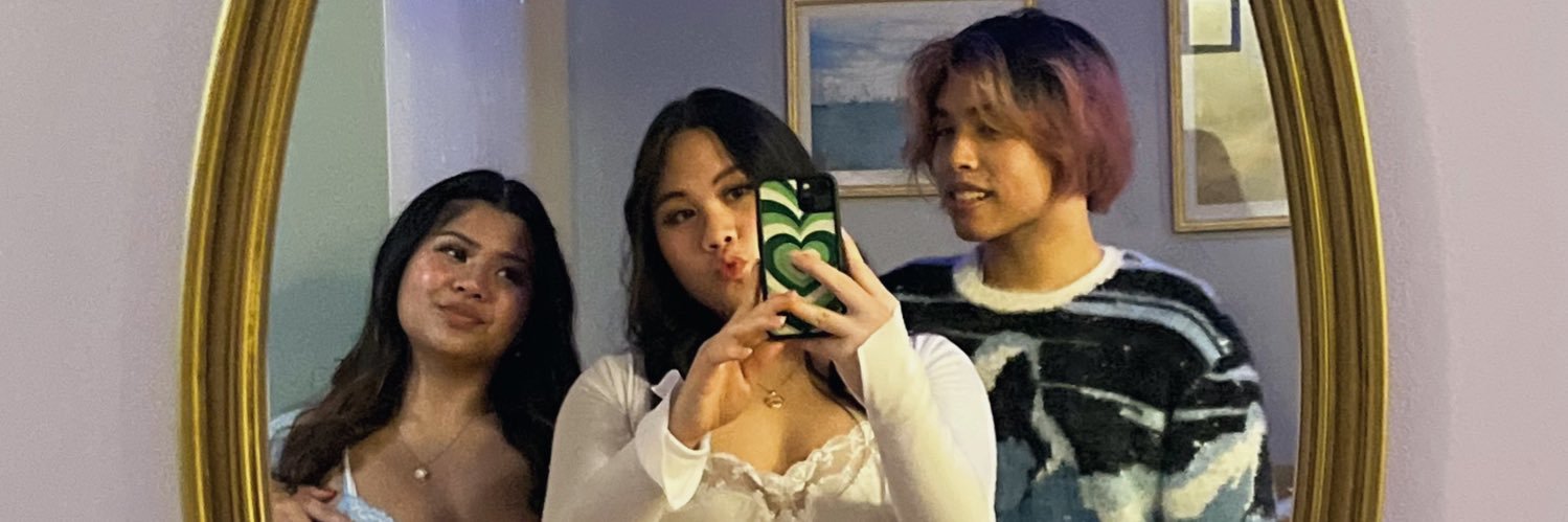 allyxpal's profile banner image