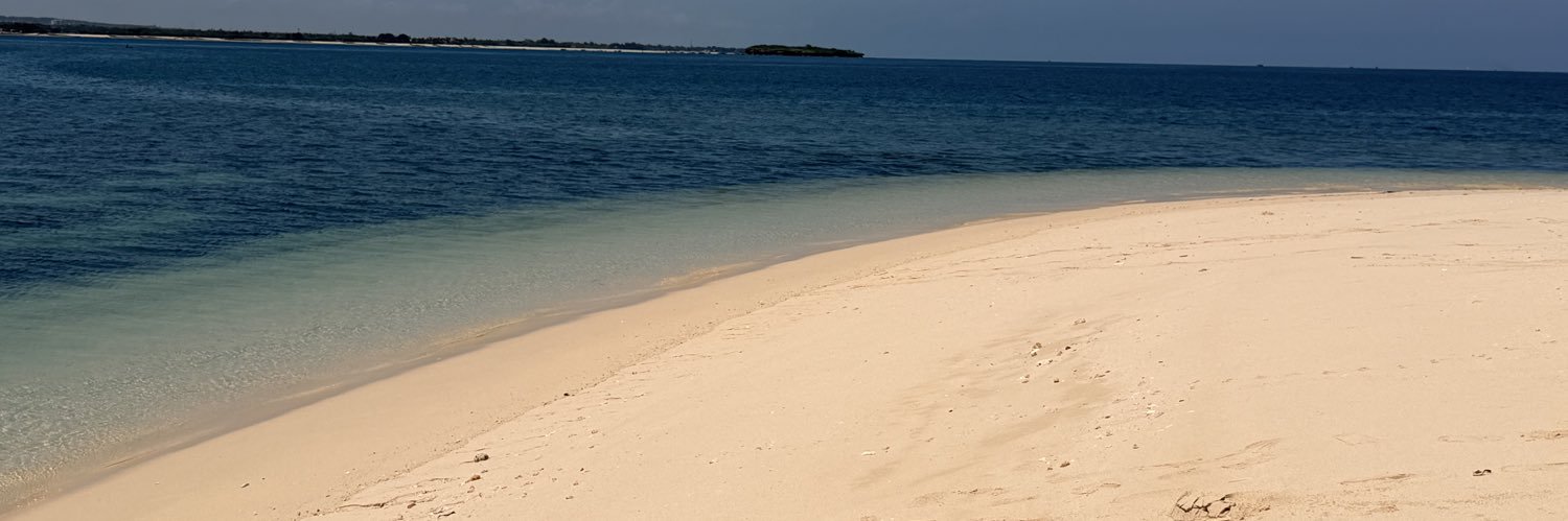 ODechoux's profile banner image