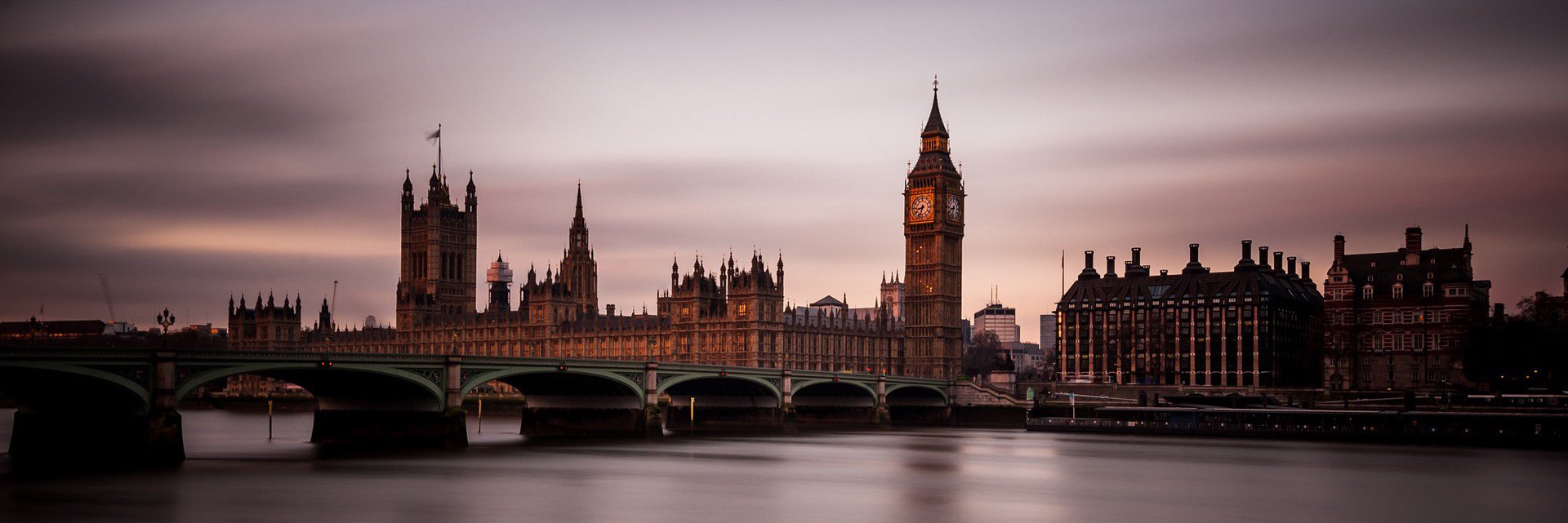 Raymond Baudon banner