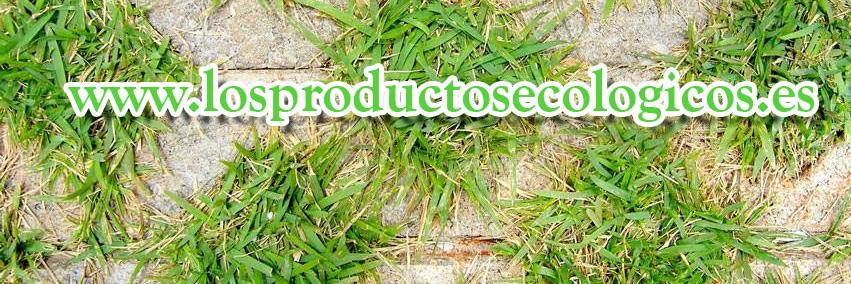 ProductosEco's profile banner image