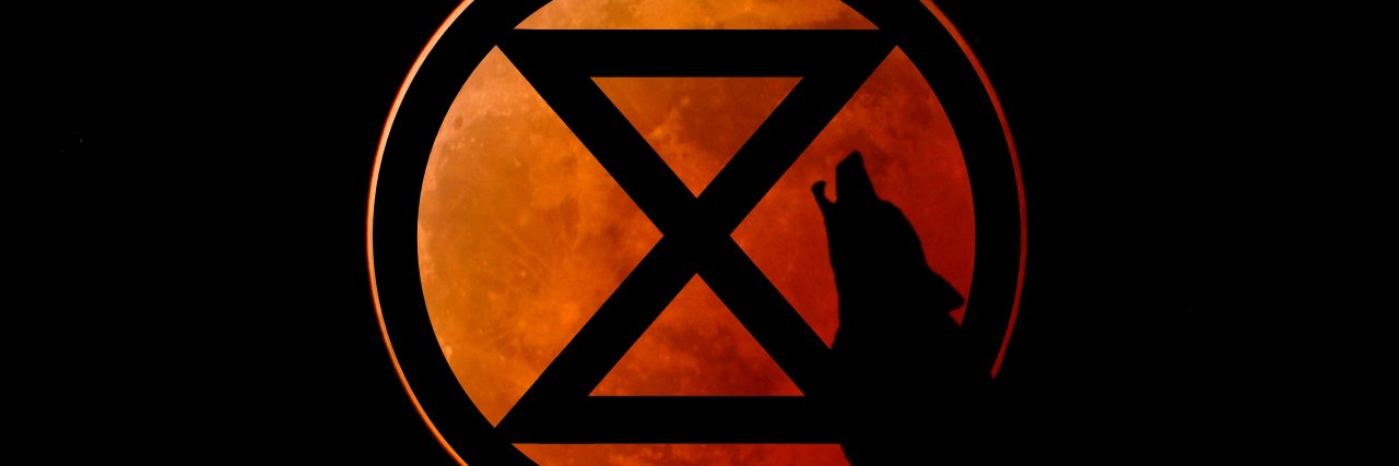 DaveSandilands's profile banner image