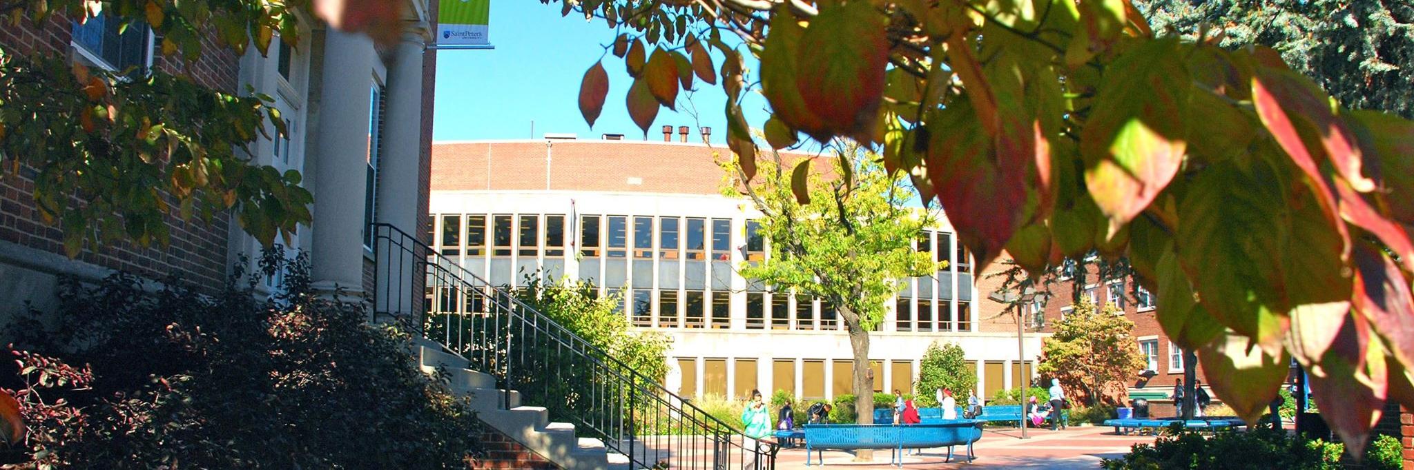 SaintPetersLib's profile banner image