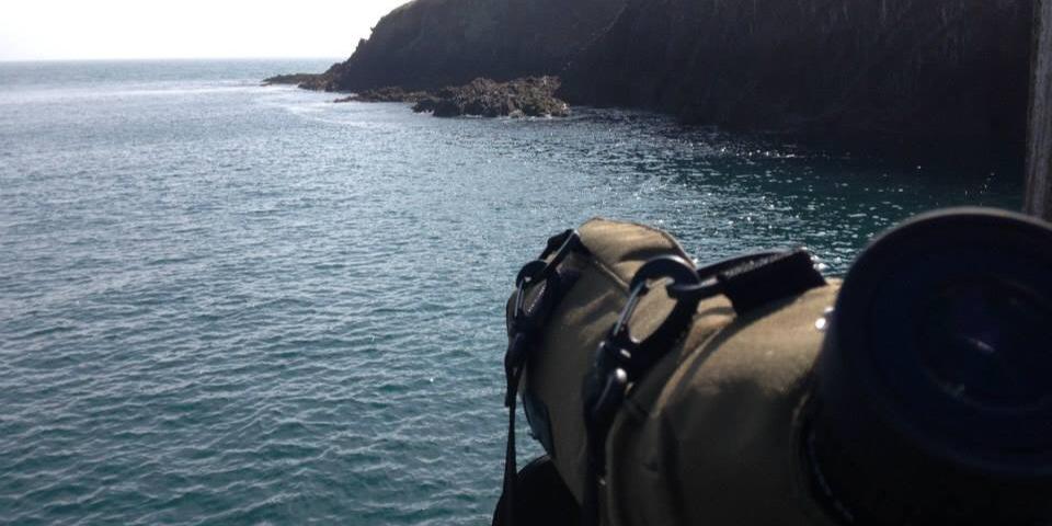 Sophie Edwards banner