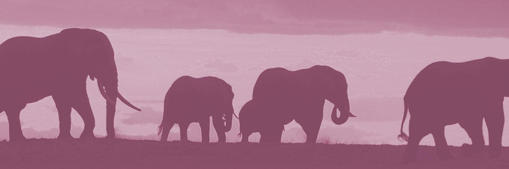 _hilaryc's profile banner image