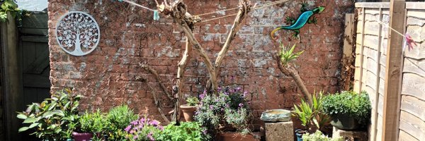 grayheath56 Profile Banner