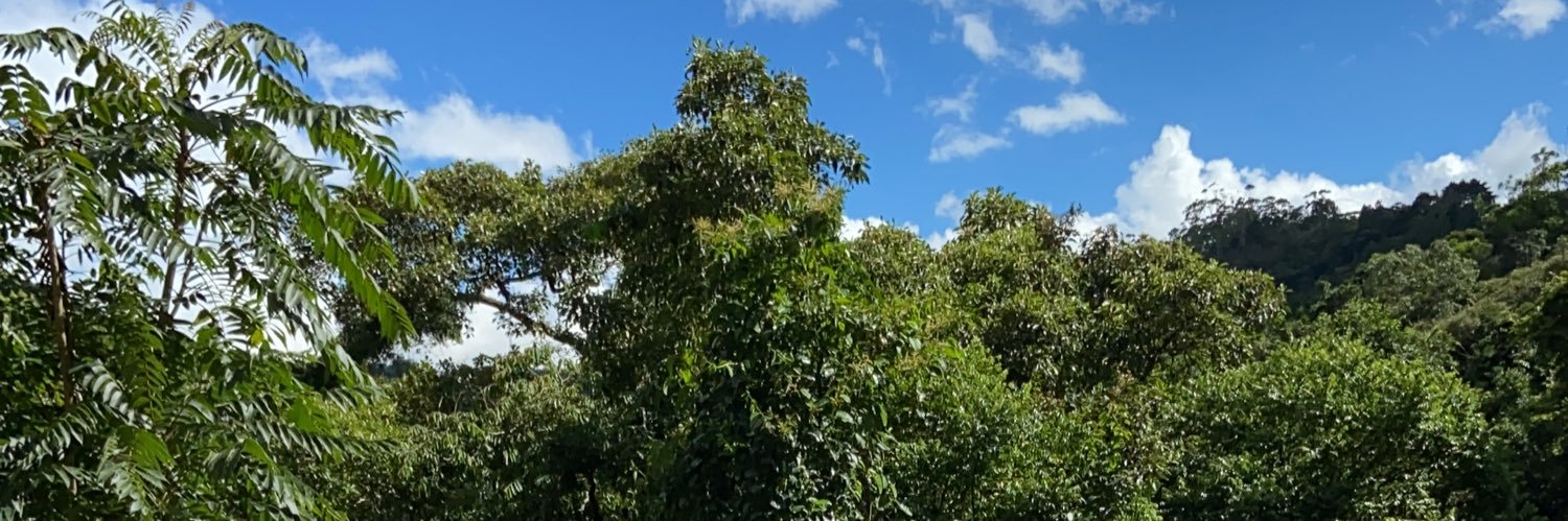 Lady_2340's profile banner image