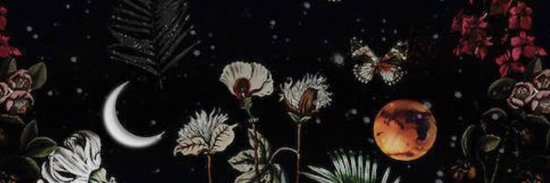 standingonroses's profile banner image