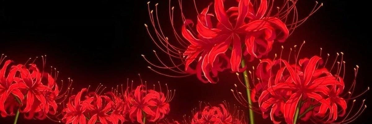 rouxuwu's profile banner image