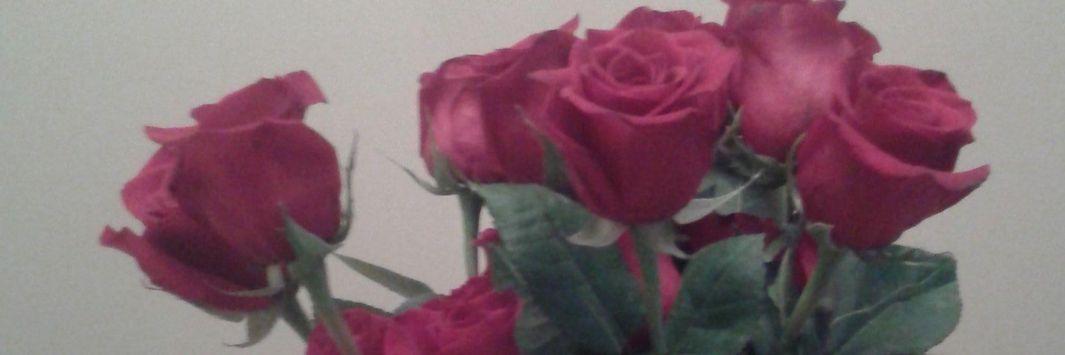 moneake27's profile banner image