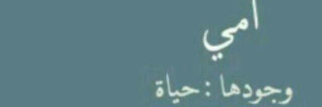 halaa9_99's profile banner image