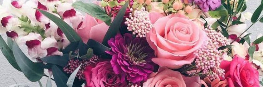 JuliaCourtésOff banner