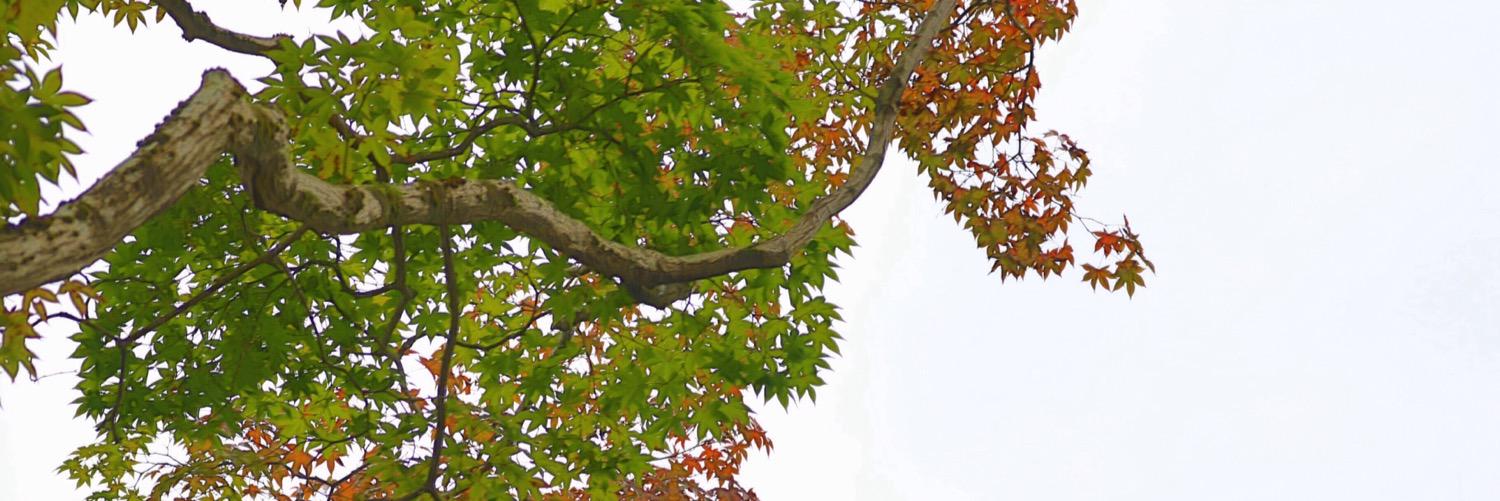 eos7dm2's profile banner image