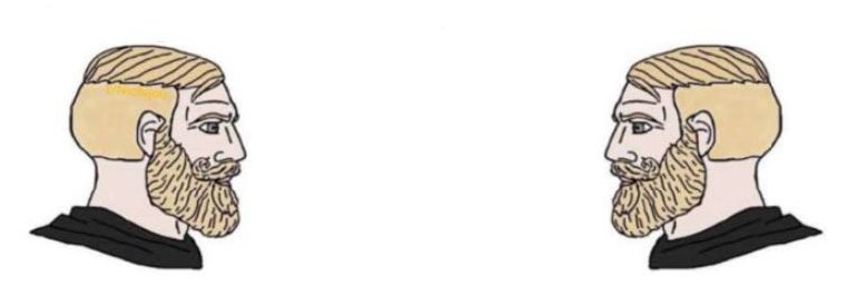 Acid Mudcrabs banner